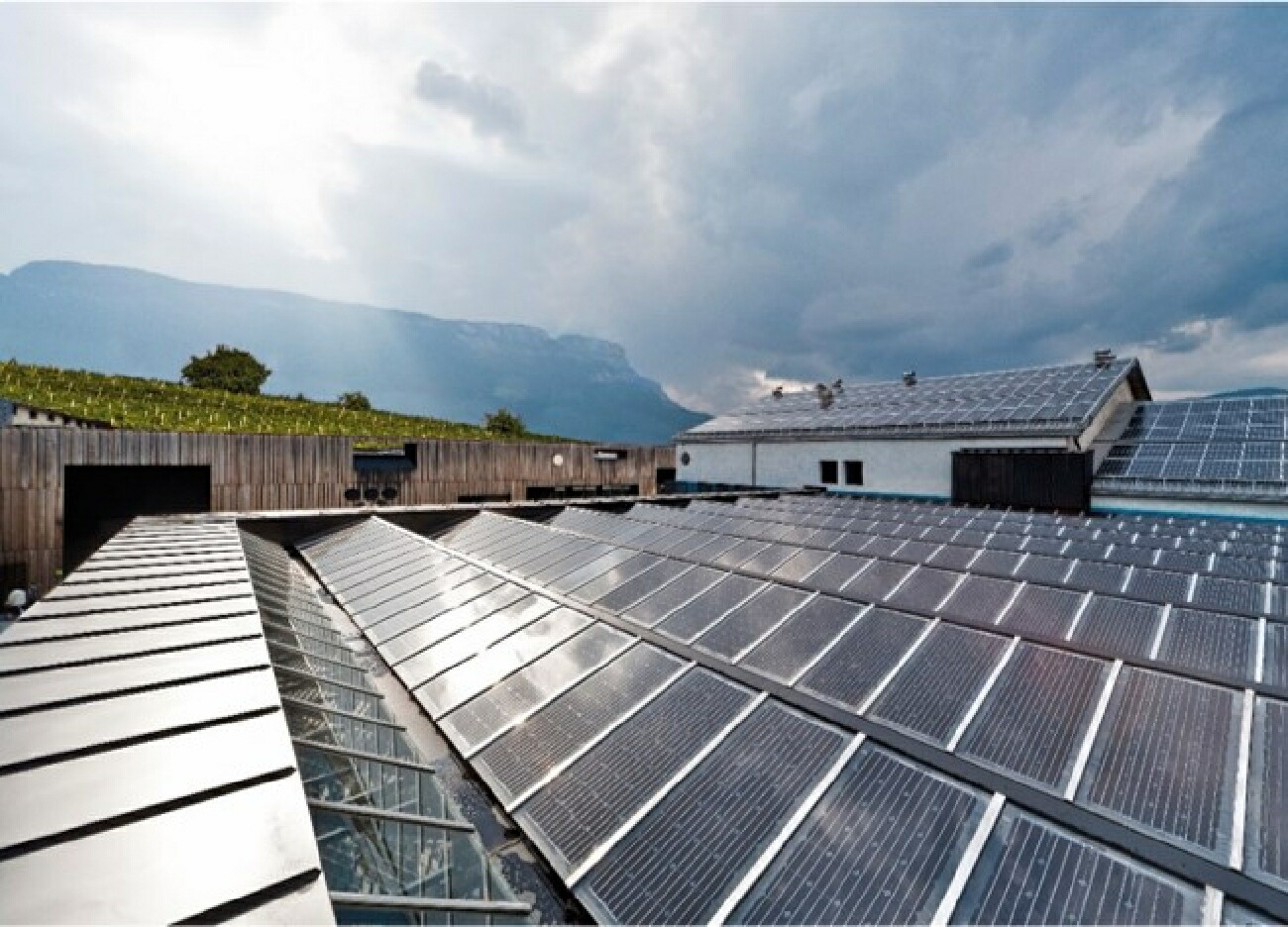 コルテレンツィオのカンティーナ