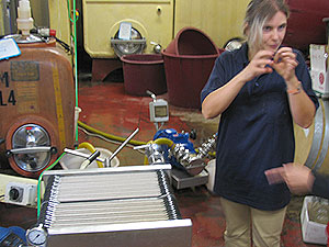 レティッツァさん