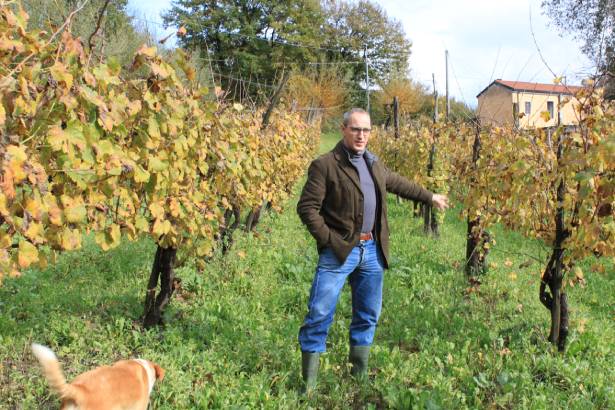 畑とラファエレ