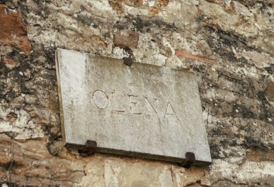 オレーナ地区の土壌