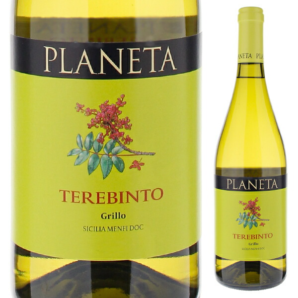 テレビント 2016