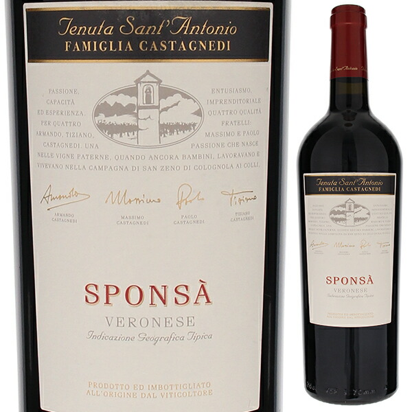 スポンサ ヴェロネーゼ 2013