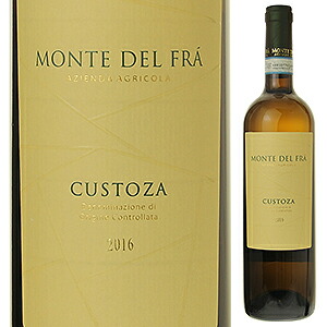 クストーザ 2016