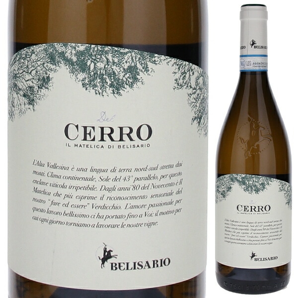 デルチェッロ ヴェルディッキオ ディ マテリカ 2024