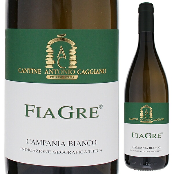 フィアグレ 2019