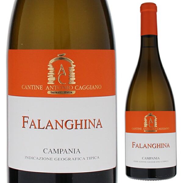 ファランギーナ 2019