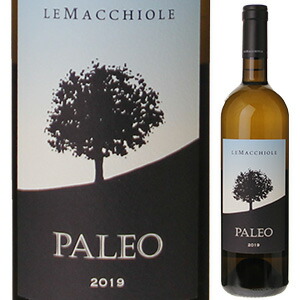 パレオ ビアンコ 2019