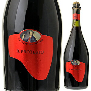 イル プロテスト 2016