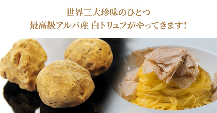 アルバ産の白トリュフの季節が今年もやってきます