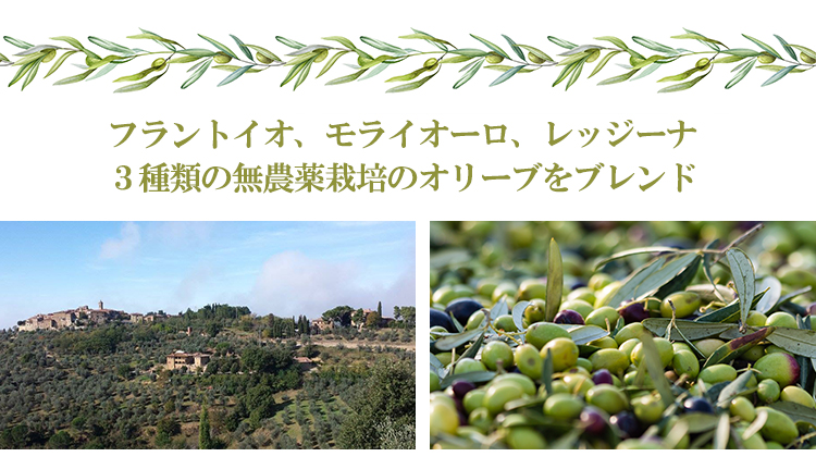 3種類の無農薬オリーブをブレンド