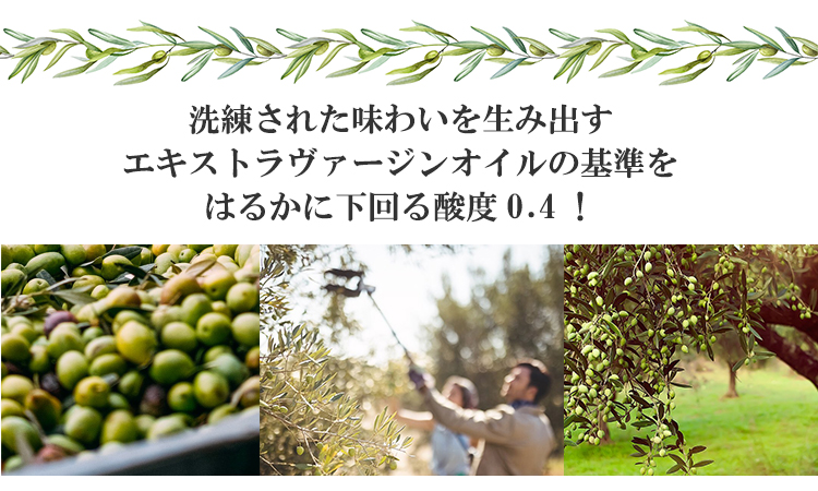 基準値を下回る酸度0.4のエキストラヴァージンオイル