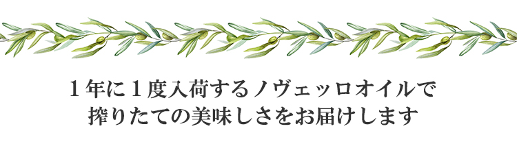 アルドイノ　ノヴェッロオイル