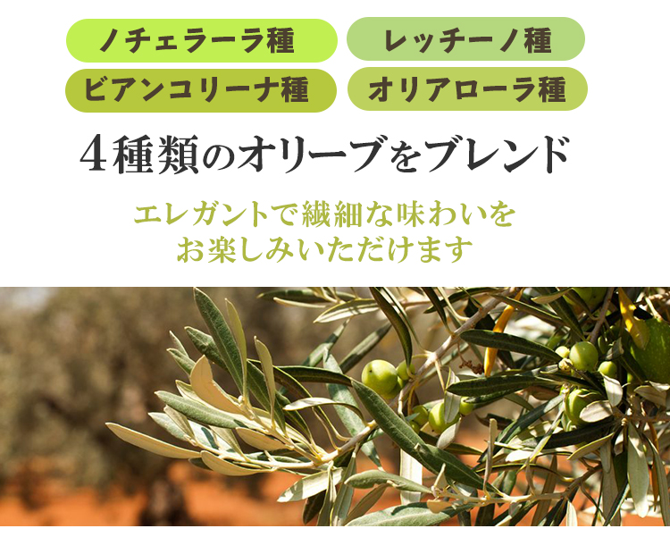アルドイノ　ノヴェッロオイル