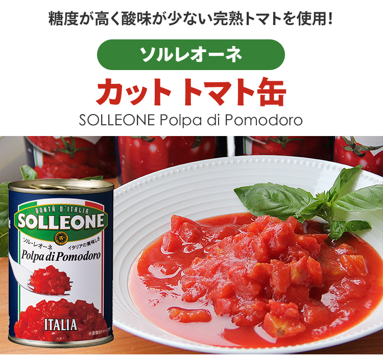 トスカニー イタリアワイン専門店 / ダイスカットトマト缶 イタリア産