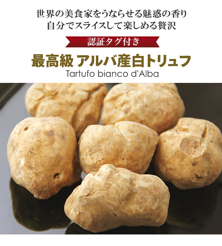 最高級 アルバ産白トリュフ