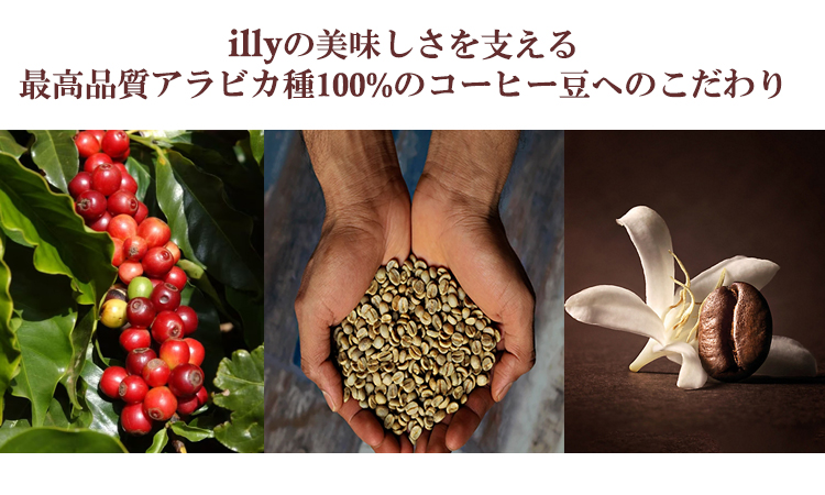 イリーの美味しさを支えるアラビカ種100%のコーヒー豆