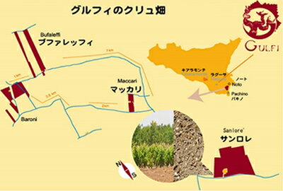 グルフィのクリュ畑