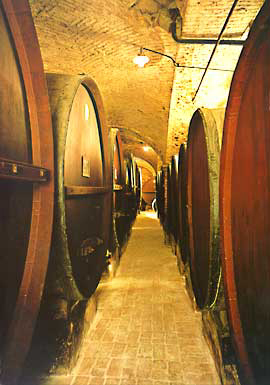 ピオチェーザレのセラー