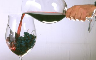グラスに注ぐワイン
