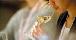 女性テイスター