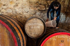 アリアンナオッキピンティ