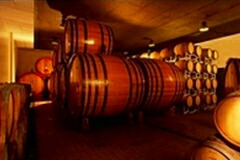 モンカロカンティーナ