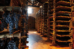 オッキオディペルニーチェ乾燥