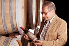 カンポフィオリンボスカイニ