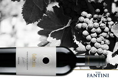 ファンティーニコレクションヴィーノロッソ