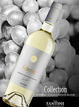 ファンティーニコレクションヴィーノビアンコ