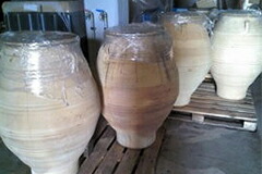 パラスコスピトス