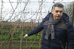 ミッリオチロヴェルデ氏