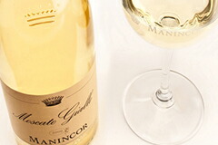 モスカートジャッロ