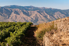 エトナシャラヌオーヴァ