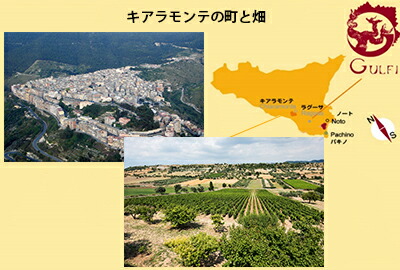 キアラモンテ畑