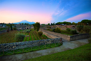 ヴィッラデイミステリの畑とヴェスヴィオ火山