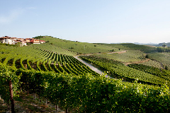 ブリックバリン