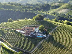 トリニタの畑とカンティーナ