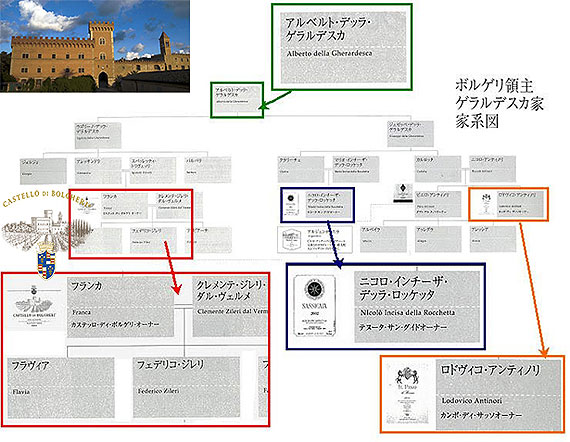 カステッロディボルゲリ家系図