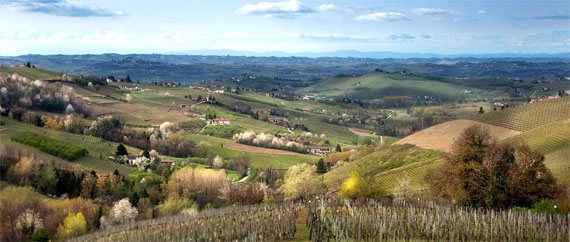 アルタランガの画像