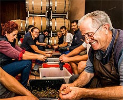 エリオアルターレ　ウノペルウノ