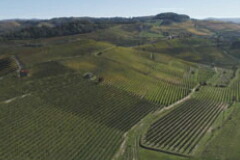 ラヴェーラの畑