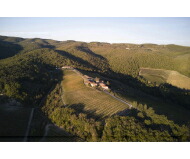 マッツェイ イルカッジョ