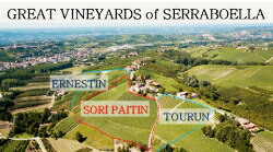 セッラボエッラ畑3区画