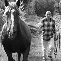 マルコ カルピネーティ