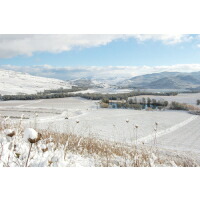 フィクッツァ農園