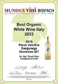 ムンドゥス ヴィニ ビオ イタリア最高オーガニック白