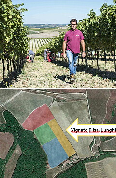 モントゾーリの畑