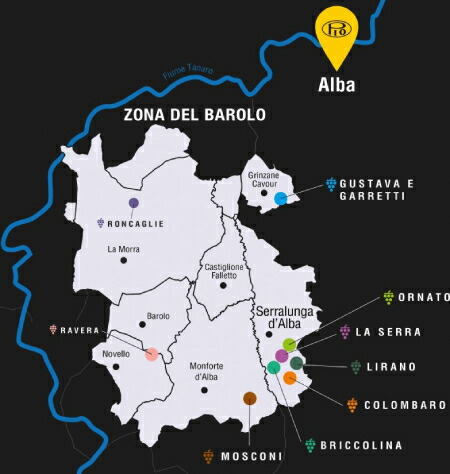 ピオ チェーザレ バローロの畑