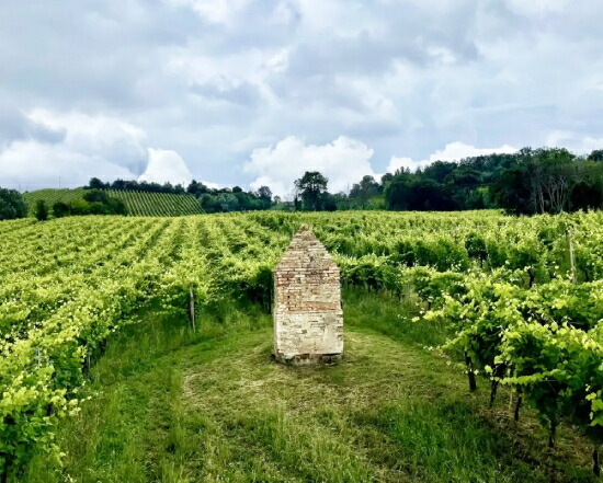 ヒストリカルの畑